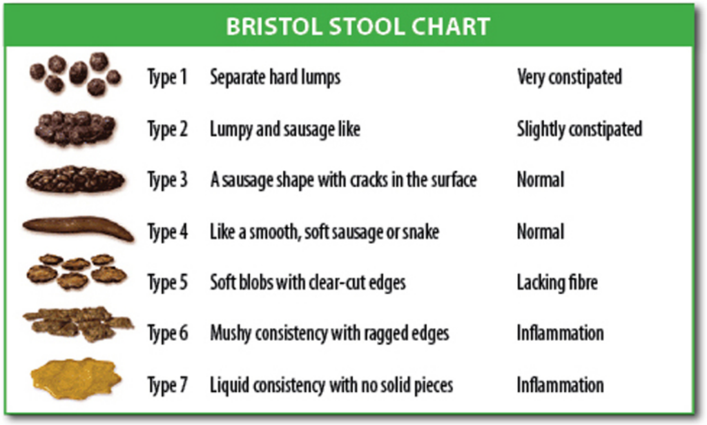 G@Hz0p19'$ B10g: Bristol stool scale