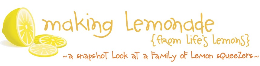 making lemonade {from life's lemons}
