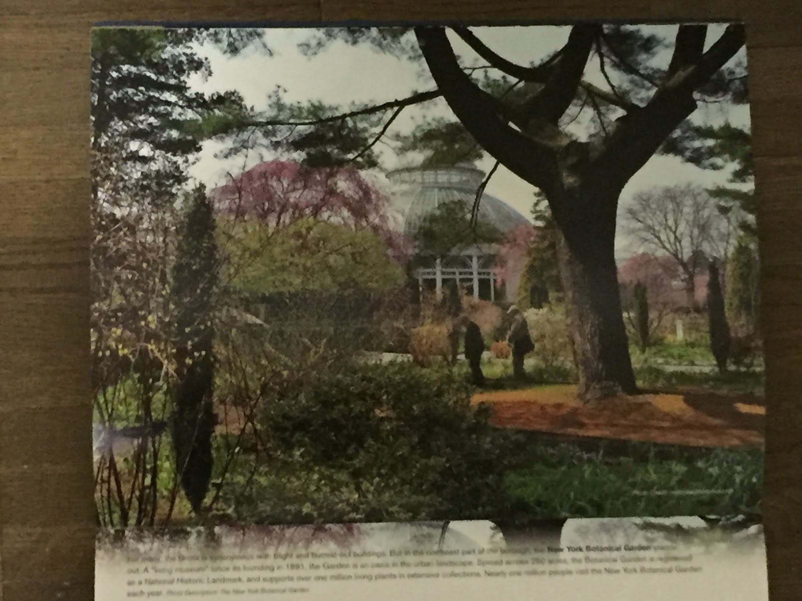  BCL 2016 4 Unseen New York Calendar