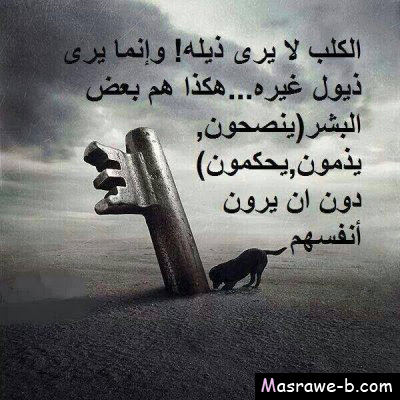 صور حلوة صور حلوة