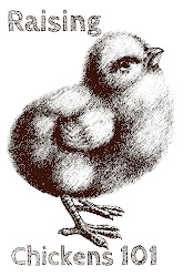 chickens chicken building coop raising handmade sew chick country breeds beginner craftcation ventura speaking went engagement conference weekend past well