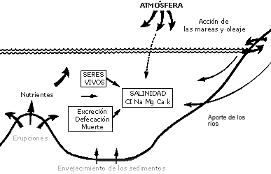 alimentos para bajar de peso rapido medicina natural