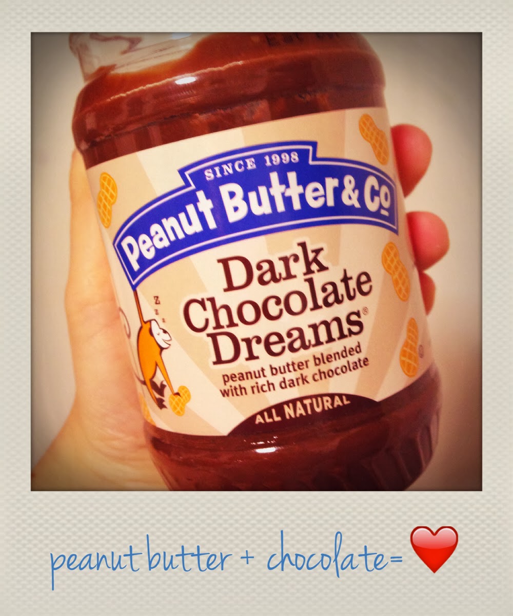 Sans Soy Peanut Butter & Co. Dark Chocolate Dreams