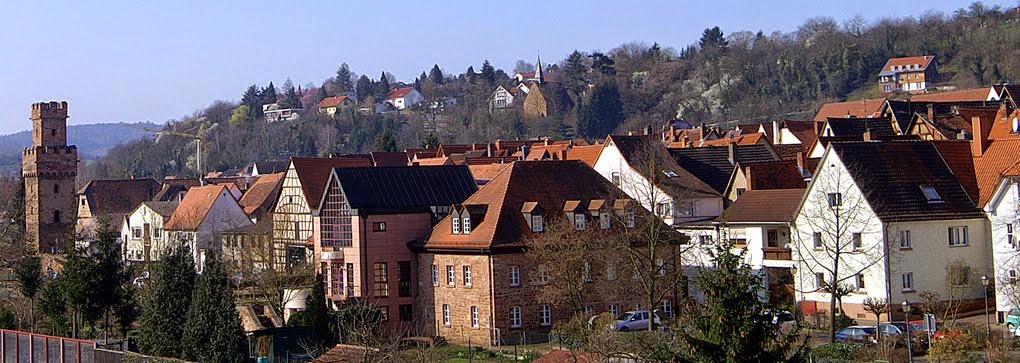 Obernburg erleben