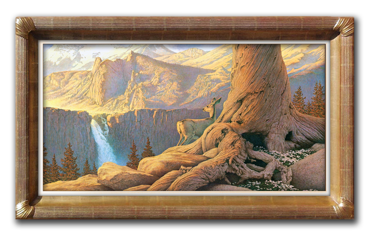 Paintings By Scott Kennedy