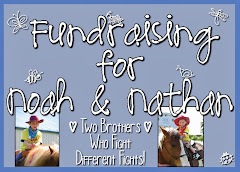 Our Fundraiser on Fundrazr...