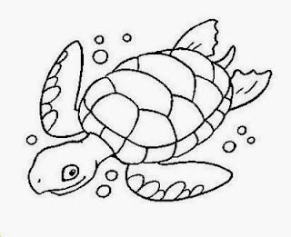 desenho de tartaruga marinha para pintar