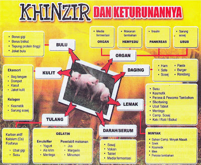 Hasil carian imej untuk Daging Babi Kerana Tak Tahu, Hukumnya?