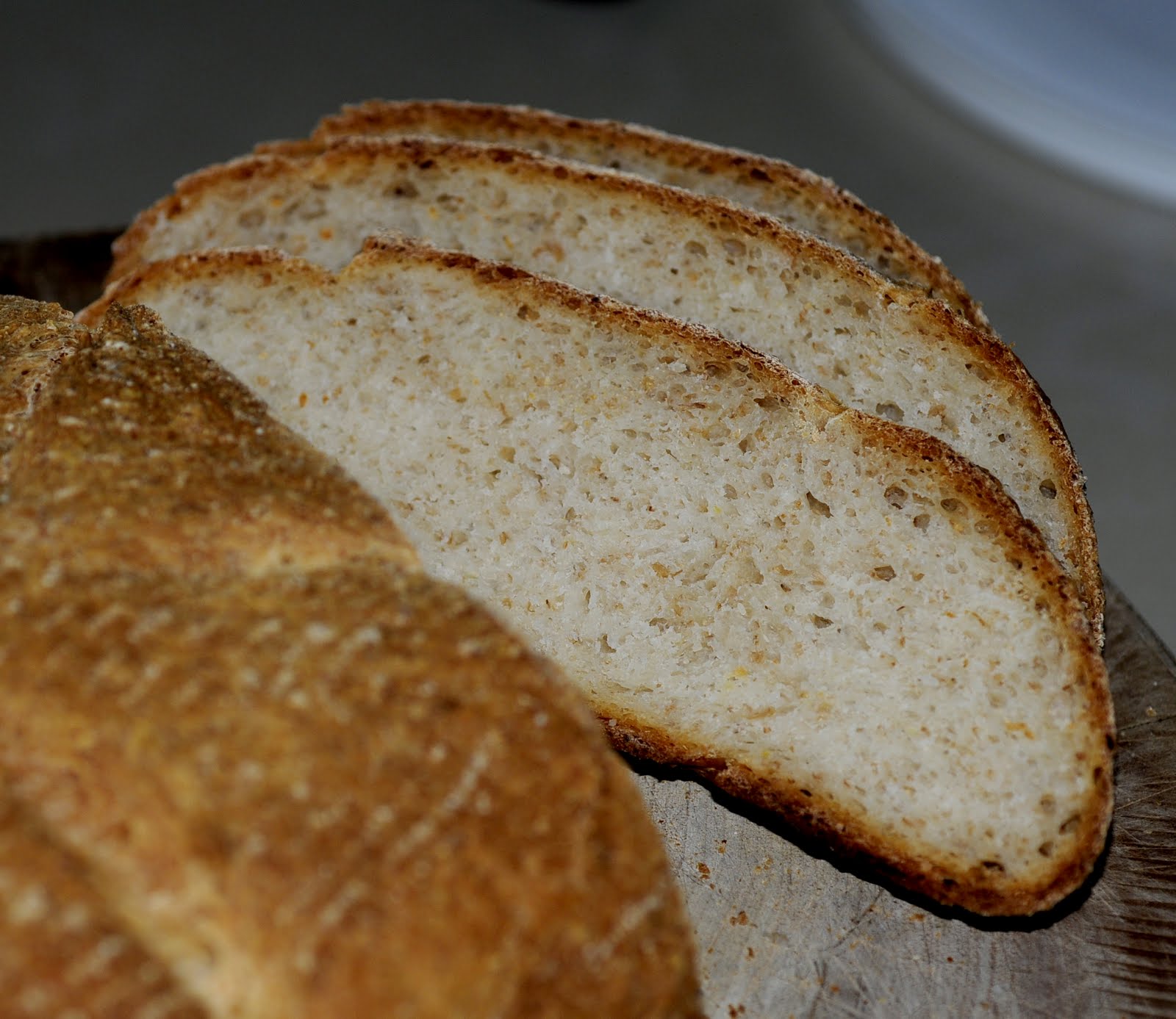 my discovery of Bread Goat Cheese Bread