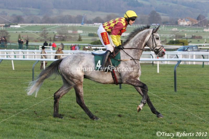 The Horse Racing Blog A Novice Chase Insight.....Continued