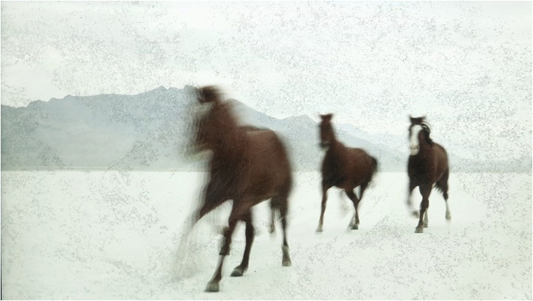 Emerging Photographers, Best Photo of the Day in Emphoka by Carl Vanassche Emerging Photographers, Best Photo of the Day in Emphoka by Carl Vanassche