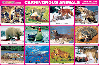 Spectrum Educational Charts: Chart 283 - Carnivorous Animals 1
