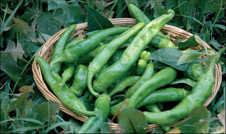 ZUPPETTA di ARSELLE e PEPERONCINI di FIUME