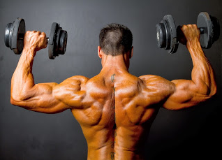 Cara Melatih Otot Back Shape Dengan Alat GYM