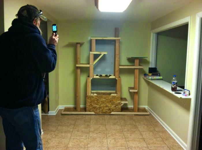 Kedi Evi Yapımı (15 Resim) Blog Herşeydir 2016™