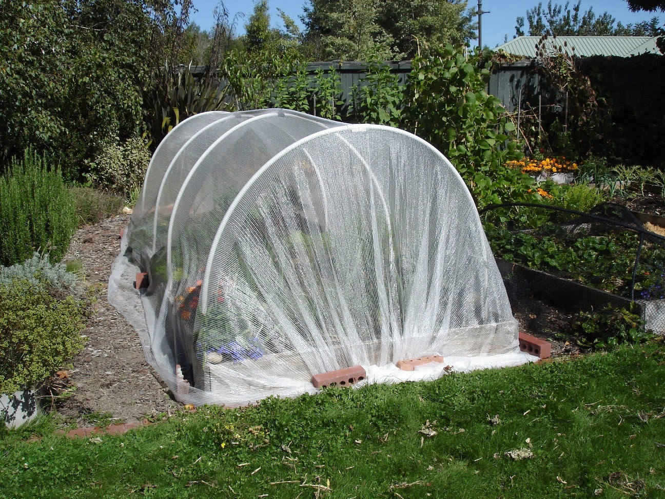 Big Garden Small Budget DIY Mini Shade House or Greenhouse