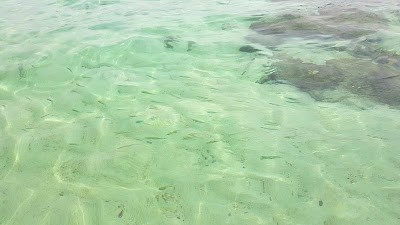 przeźroczysta morska woda, tajlandia, tub island