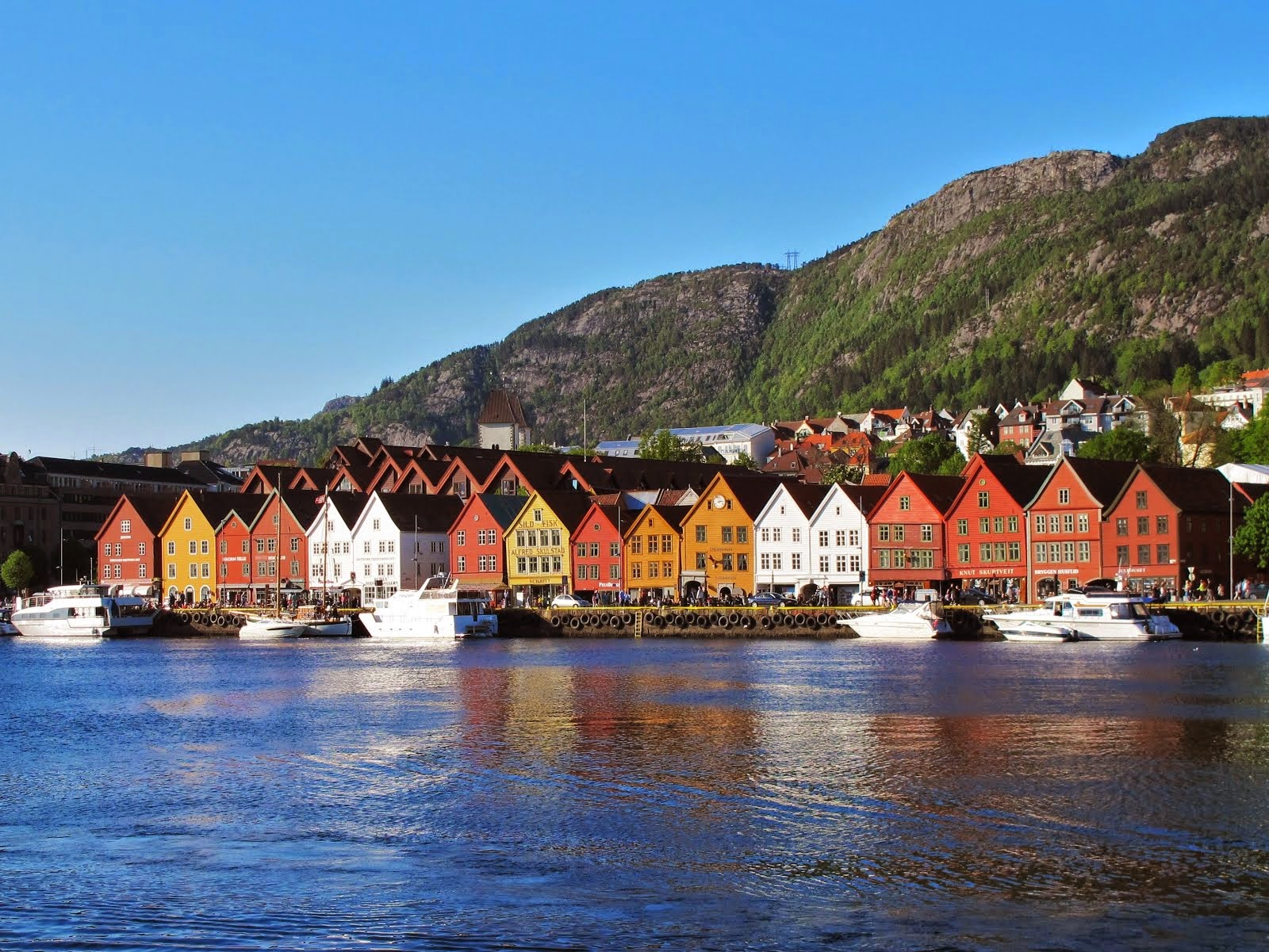 2014 - Bergen