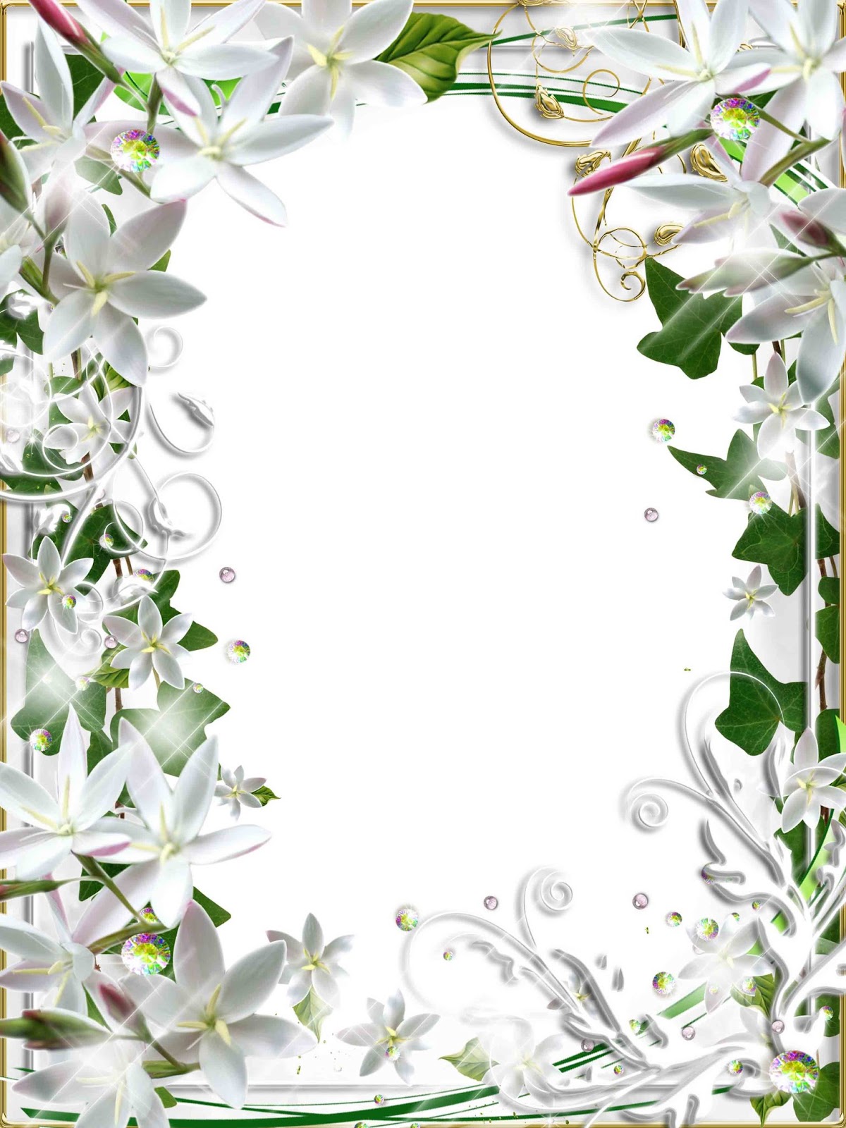 flower frame lovely frame