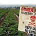 Scientist Attacked for Proving GMO Dangers Wins Defamation Suit in French Court