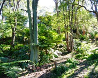 Need Some Garden Ideas Australia?