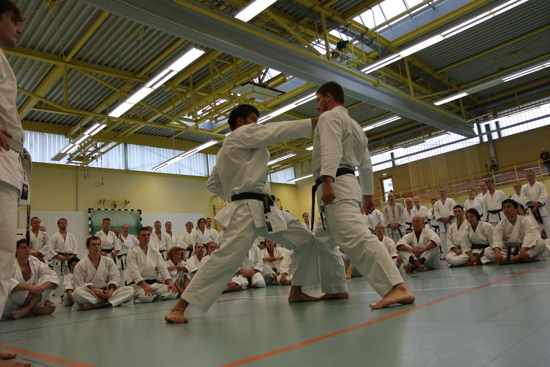 Single krefeld