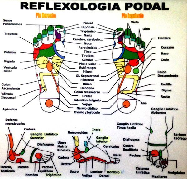 ¿Conoces la Reflexología Podal?