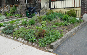 Monarch Park  spring garden cleanup after by Paul Jung Gardening Services Toronto