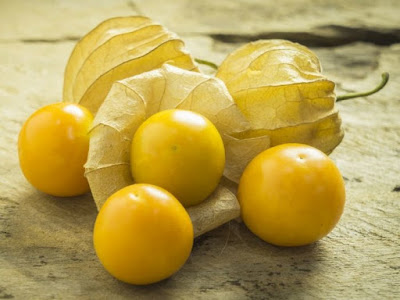 Health Benefits Of Golden Berries You Need To Know Health Benefits Of Golden Berries You Need To Know
