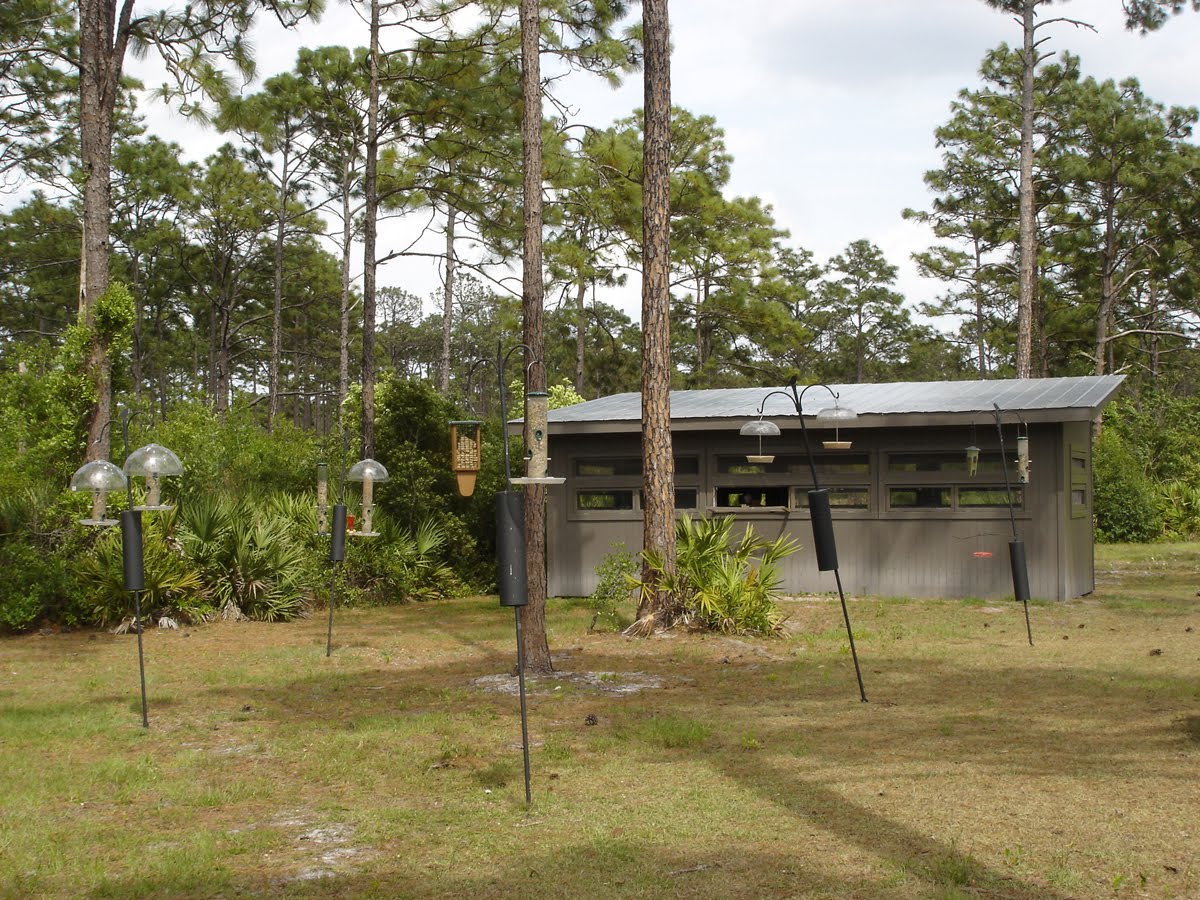 St. Marys, News Crooked River State Park wins award for best