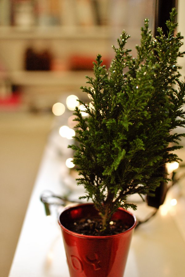 Quiet Like Horses 2017 Mini Christmas Tree