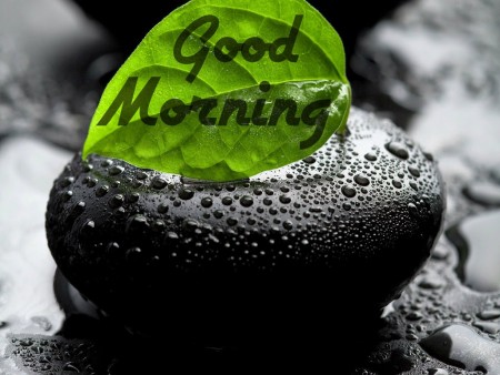 صور صباح الخير