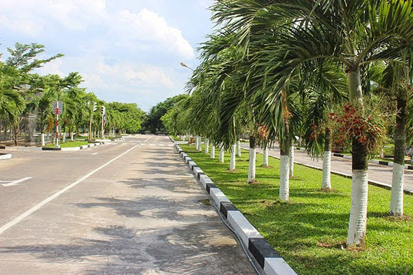 Học lái xe Cửu Long