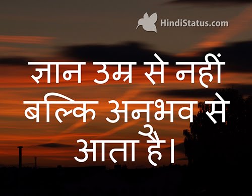 Wisdom and Experience - HindiStatus