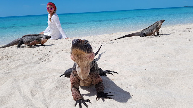 Blog Apaixonados por Viagens - Seguro Viagem - April Brasil - Caribe