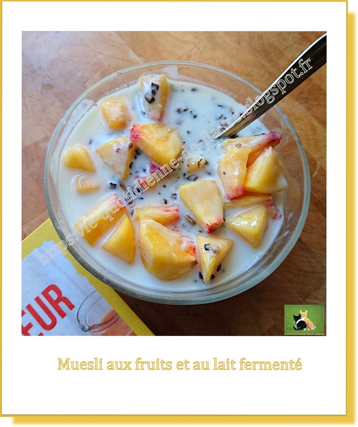 Muesli maison aux fruits et au lait fermenté
