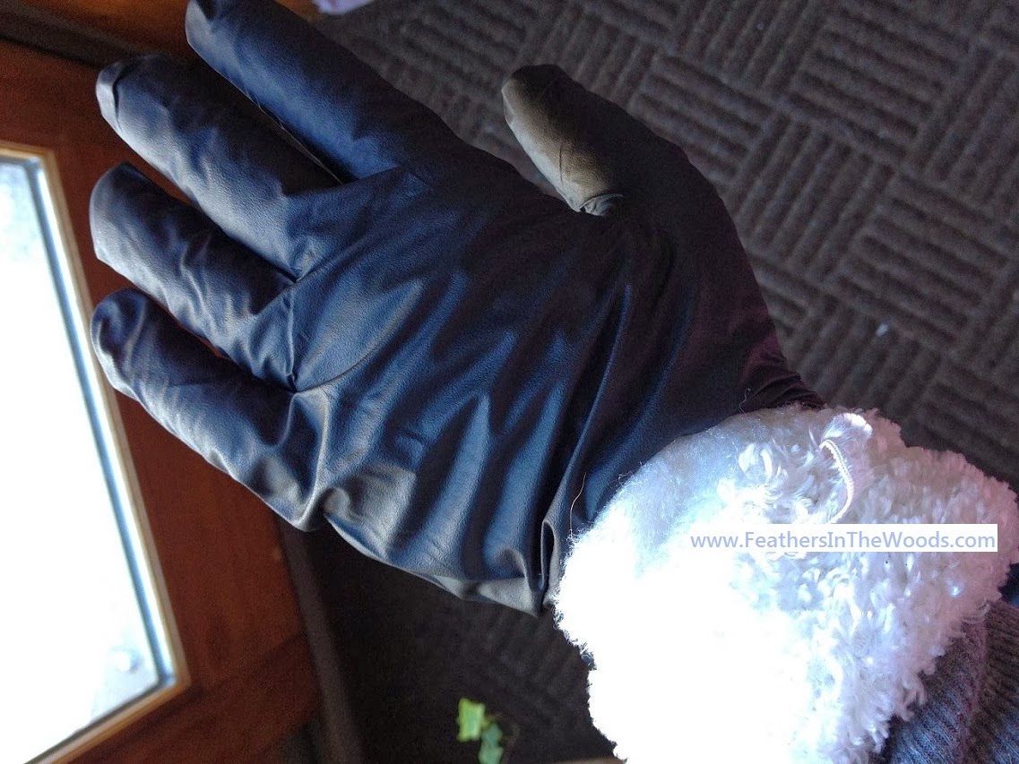 5 "make your life easier'" Tips Feathers in the woods