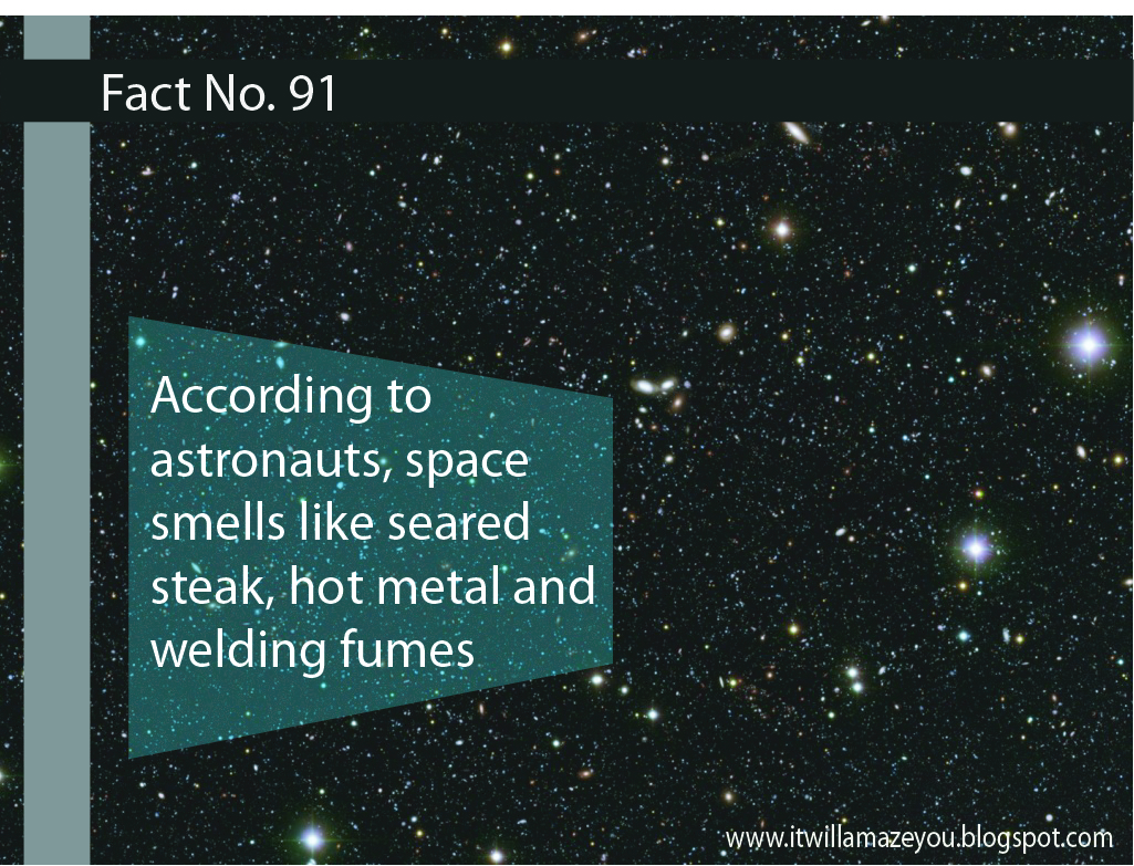 Amazing Facts About Everything