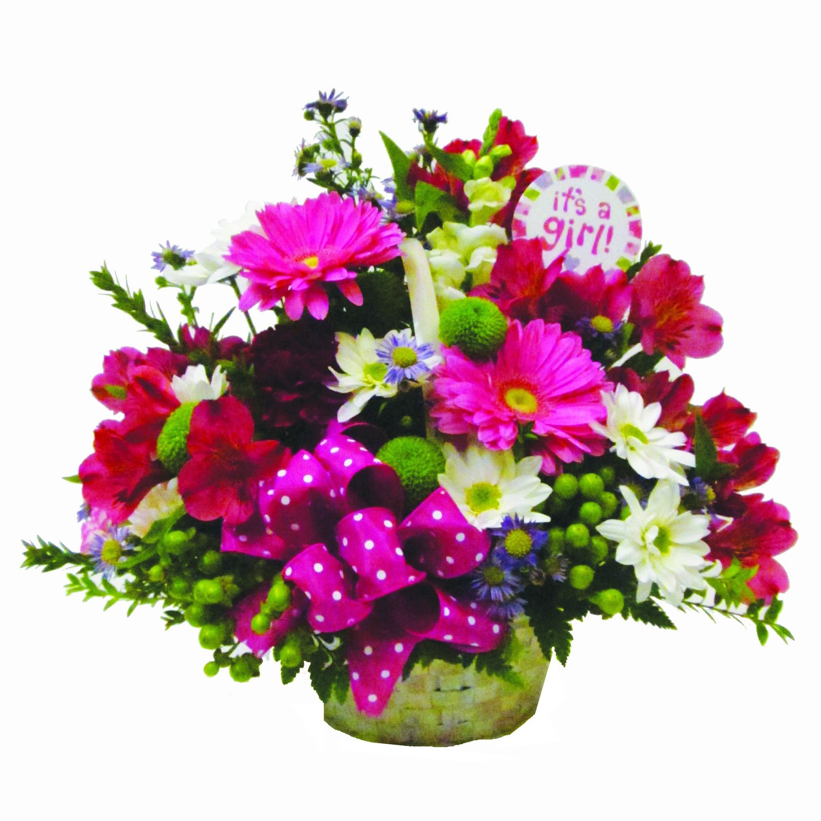 Sights and Insights On my visit to Nanganallur Anjaneya Swami temple, Chennai