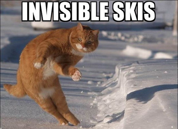 chatinvisibleskisolol.jpg