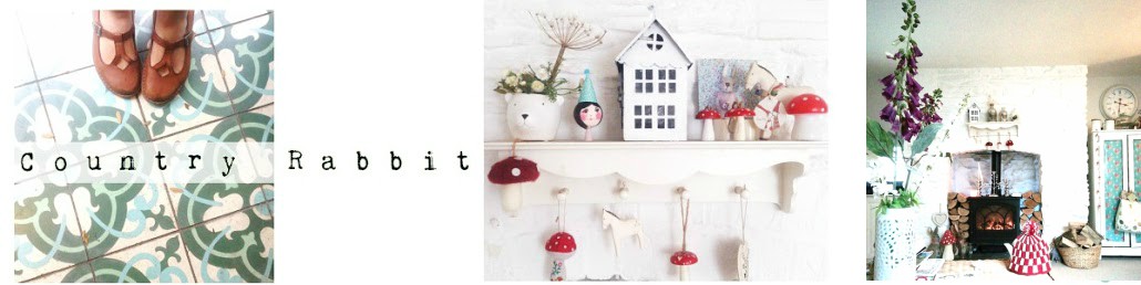 c o u n t r y r a b b i t
