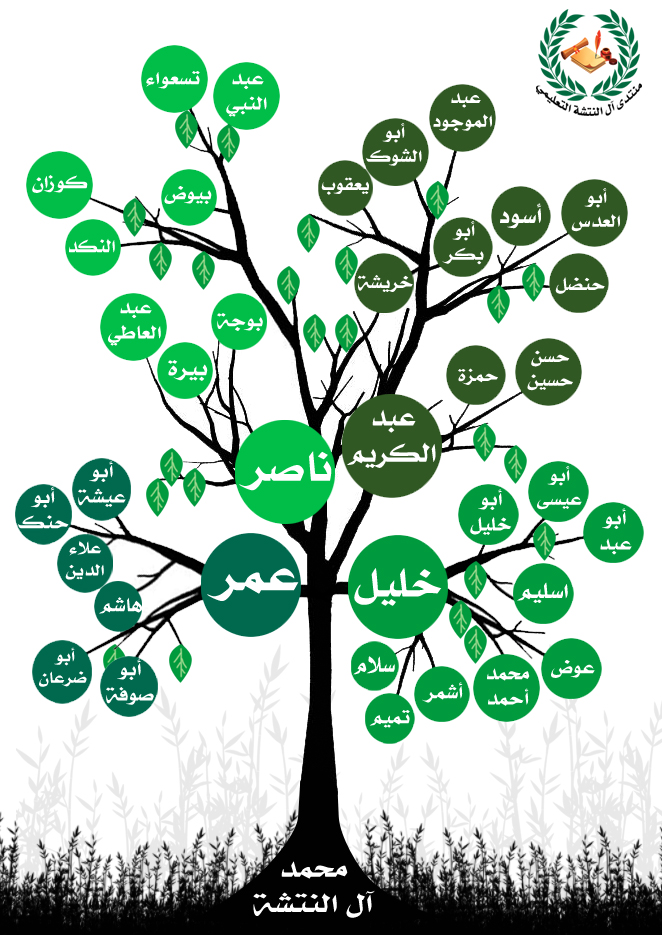 آل النتشة النتوش في فلسطين من قبيلة بني عطي ة المع ازة أنساب قبائل العرب