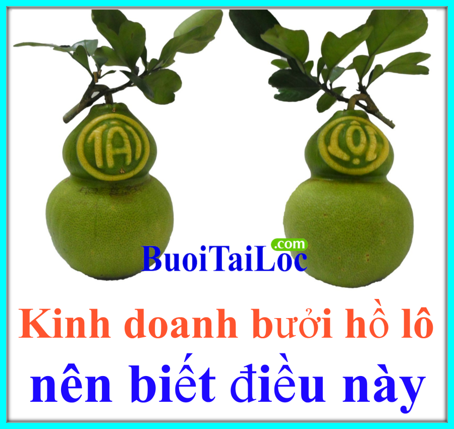 BƯỞI HỒ LÔ TÀI LỘC VÀ DƯA HẤU THỎI VÀNG KINH DOANH DỊP TẾT NGUYÊN ĐÁN NÊN BIẾT kinh-doanh-buoi-ho-lo-dua-hau-thoi-vang-dip-tet-nguyen-dan