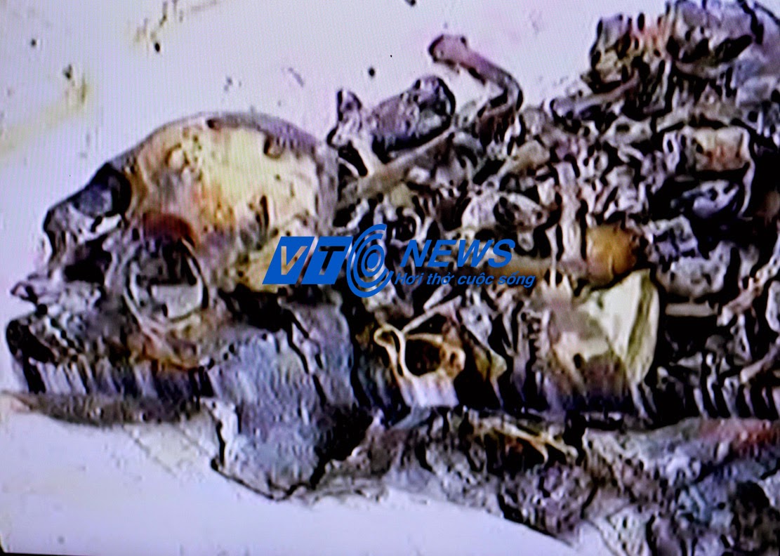 Trấn yểm tràng an cổ