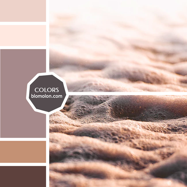 variedad en color moodboard 32 variedad_en_color_moodboard_32