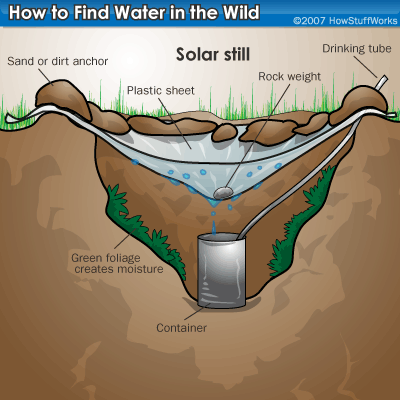 Survival Preppers: Water: How to Make a Solar Still