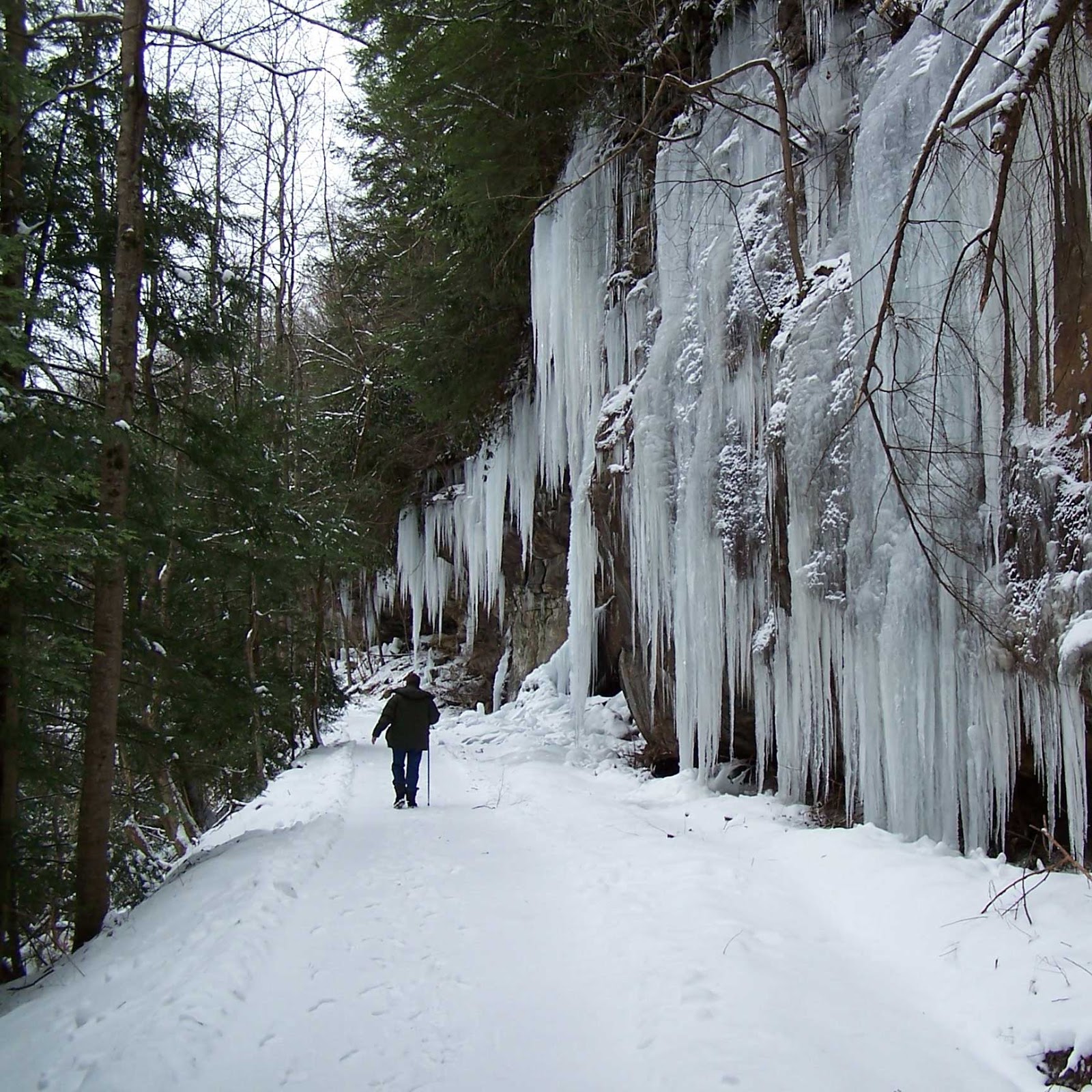 Oh, by the way... Icicles