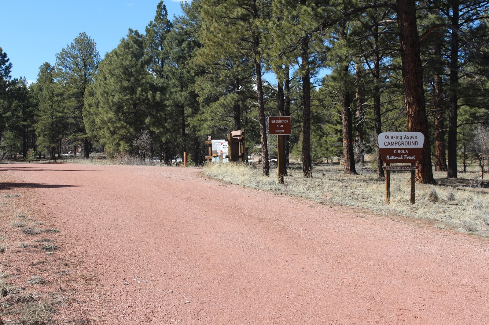 Armand's Rancho Del Cielo McGaffey Area Campgrounds
