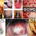 Obat GO Ciprofloaxin Apotik dengan Gang Jie dan Gho Siah thumbnail
