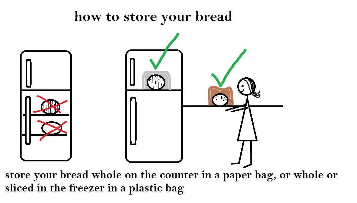 The Bread Maiden The Science Behind... the baking process, one